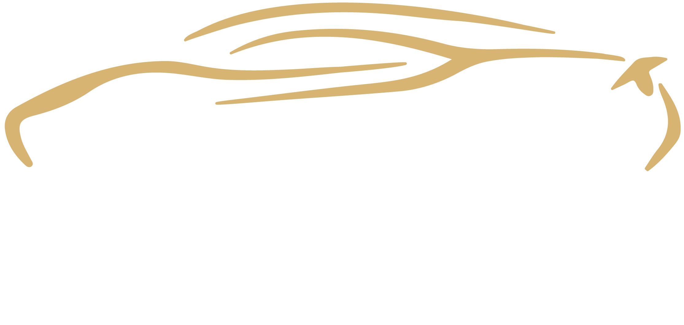 Pro Touch Bodywork & Car Valeting Logo
